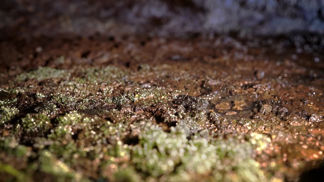 동굴의 돌 바닥에 떨어지는 물방울의 4k 클로즈업 매크로 영상