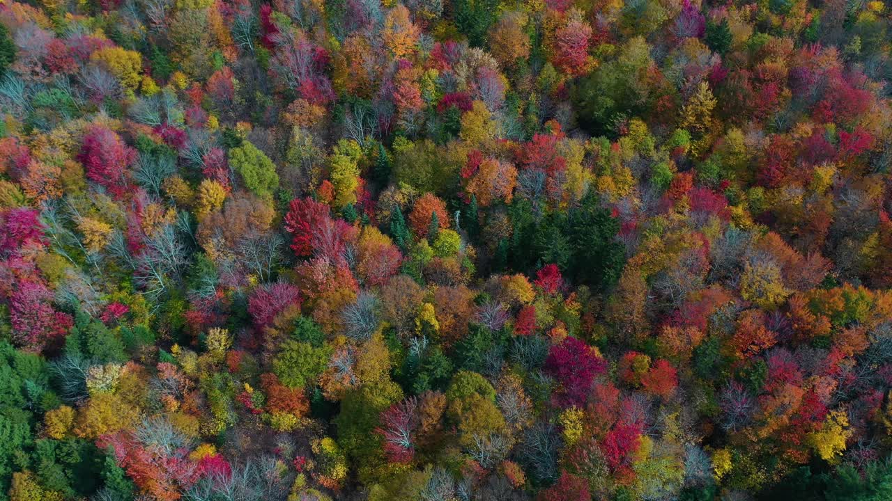 paisaje otoñal de cuento de hadas, vista aérea de pájaro, colores vivos del bosque en el campo de vermont, ee.uu.
