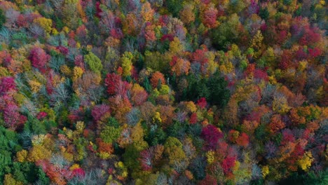 Paisaje-Otoñal-De-Cuento-De-Hadas,-Vista-Aérea-De-Pájaro,-Colores-Vivos-Del-Bosque-En-El-Campo-De-Vermont,-Ee.uu.