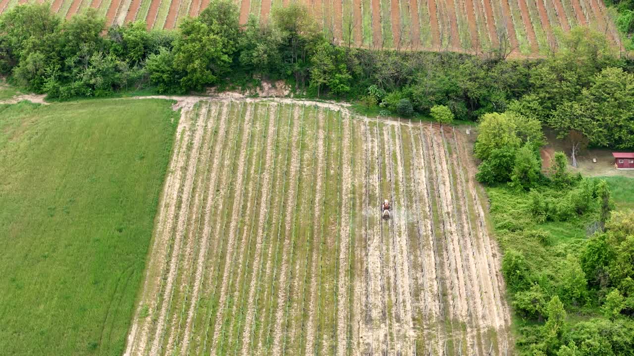Aerial view of a tractor crawling uphill through Val d’Arda vineyards, spraying herbicides and treatments between the neatly aligned grapevine rows