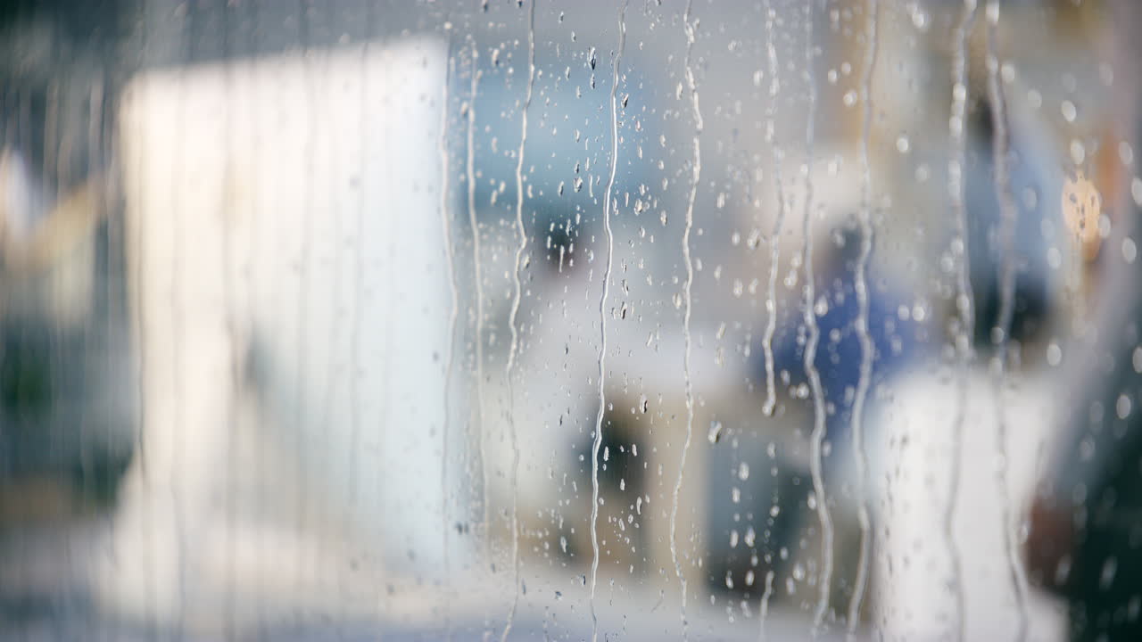 비가 오는 날에도 성공을 거두는 것