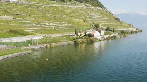 aerial drone shot going backward over lake léman in front of lavaux terraces