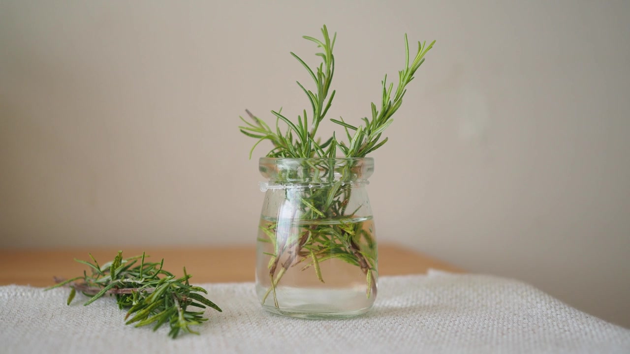 Friske rosmarinkviste i et glas med vand