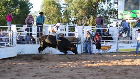 rider thrown off bull in rodeo event