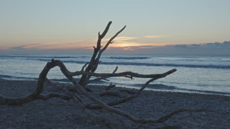 Amanecer-De-Lapso-De-Tiempo-Sobre-El-Mar-Mientras-La-Madera-Muerta-Descansa-En-Una-Playa-Pedregosa