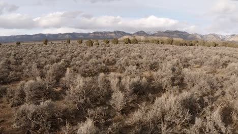 slow motion forward dolly shot of desert valley with distant mountains in utah