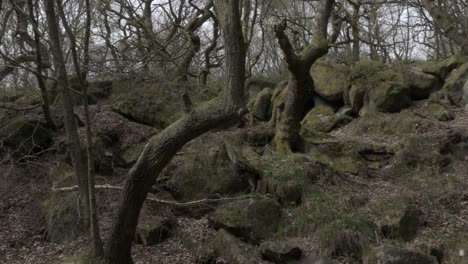 Blick-Auf-Den-Wald-Bei-Padley-Gorge-Im-Peak-District-Nationalpark,-Schwenken-Und-Schieben-Nach-Links