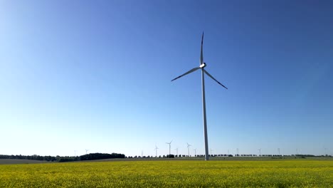 Drone-flight-over-a-rapeseed-field-and-view-of-a-wind-turbine-against-a-blue-sky,-renewable-energy-sources