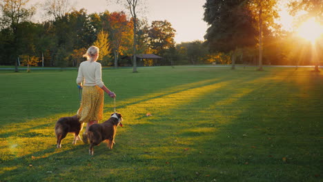 Autumn-Walk-In-The-Park-With-Two-Pets-Woman-Walking-Her-Dogs