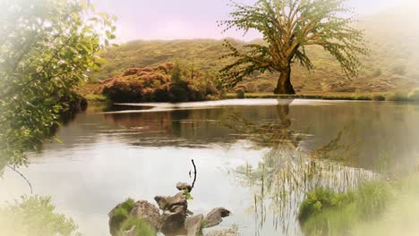 tree growing fast in a landscape