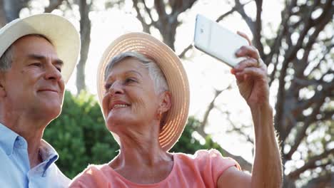 Senior-couple-taking-selfie-form-mobile-phone-in-park