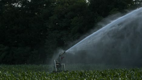 Farm-Water-Sprinkler-4K-02