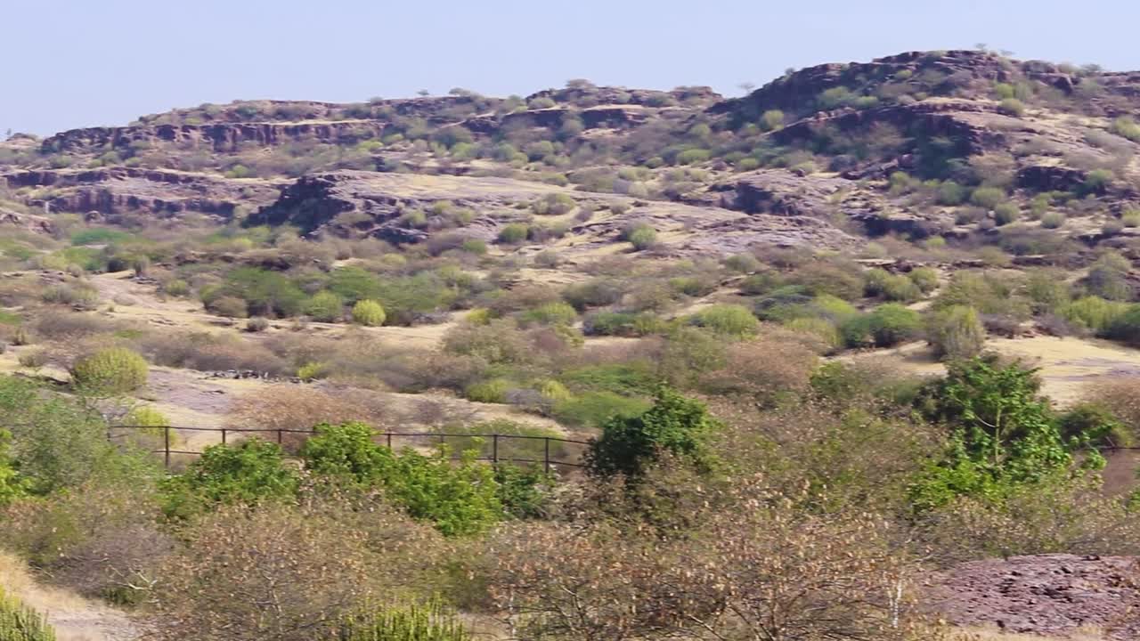 평평한 각도에서 저녁에 평평한 하늘이 있는 산간 불모의 풍경