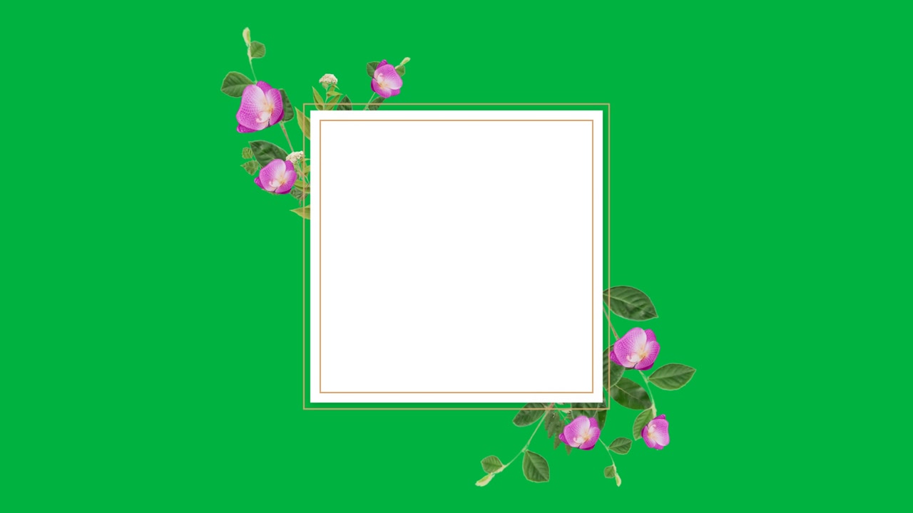 Frame-rising from black panel growing gold-rim and buds forming ending invite-icon transparent bg