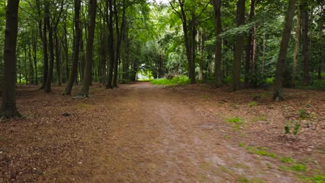 Ein-Blick-Auf-Eine-Drohne,-Die-Sich-Rückwärts-In-Einem-Wald-Bewegt-Und-Tagsüber-Große-Grüne-Bäume-In-Der-Nähe-Von-Norfolk,-England,-Zeigt