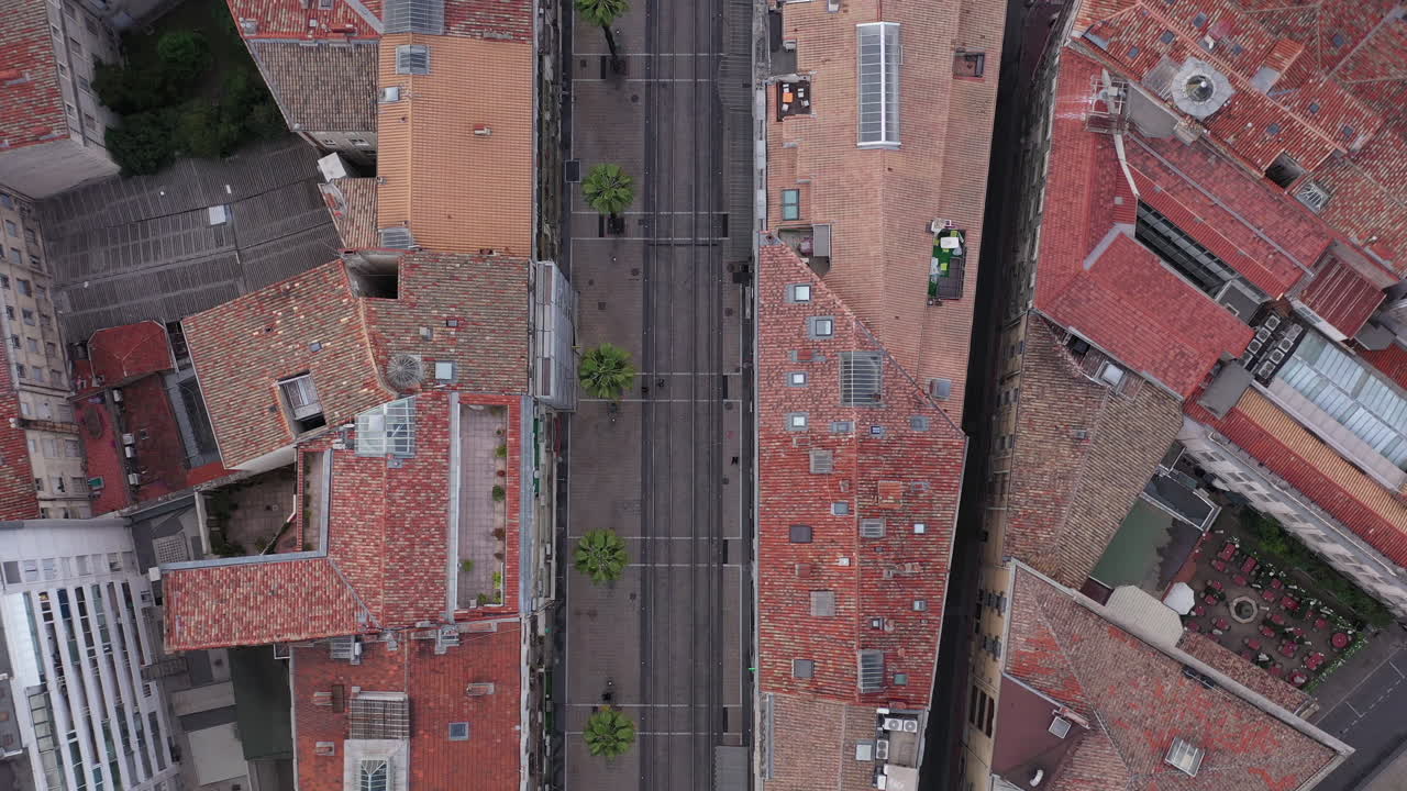Veduta aerea dall'alto di una strada a Montpellier con palme, Francia, all'alba.