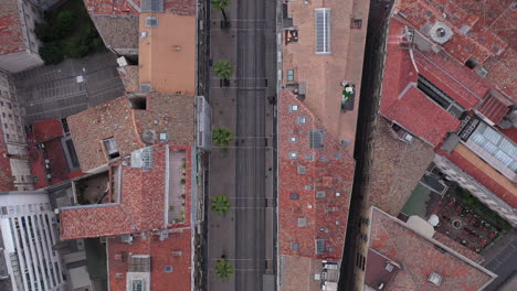 Toma-Aérea-Superior-Sobre-Una-Calle-En-Montpellier-Con-Palmeras-Francia-Amanecer