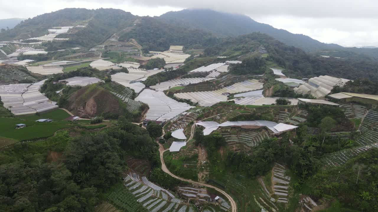 vista general del paisaje del distrito de brinchang dentro del área de cameron highlands de malasia