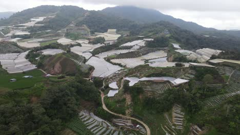 general landscape view of the brinchang district within the cameron highlands area of malaysia