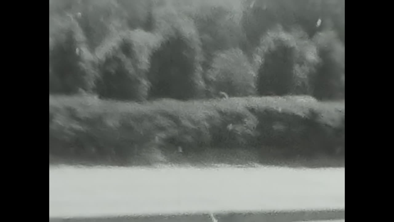 City Street Scenes - Vintage Black and White Footage