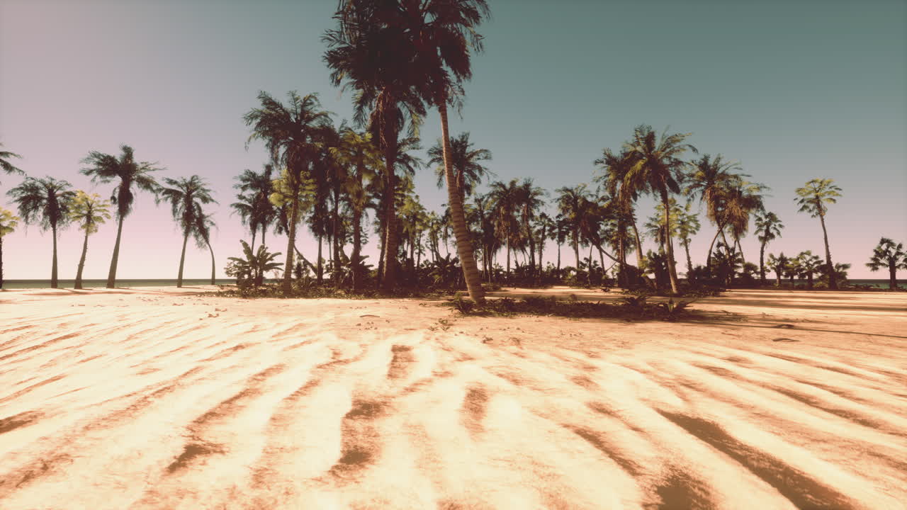 열대 해변 일몰