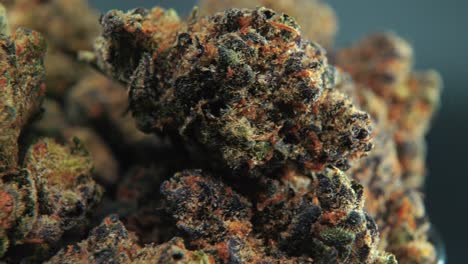 a macro cinematic detailed shot of a cannabis plant, orange hybrid strains, indica and sativa , dark purple green marijuana flower, on a rotating stand, slow motion, 4k, professional studio lighting