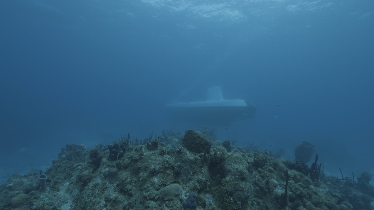 cozumel.reef y submarino. méxico. video bajo el agua