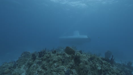 cozumel.reef y submarino. méxico. video bajo el agua
