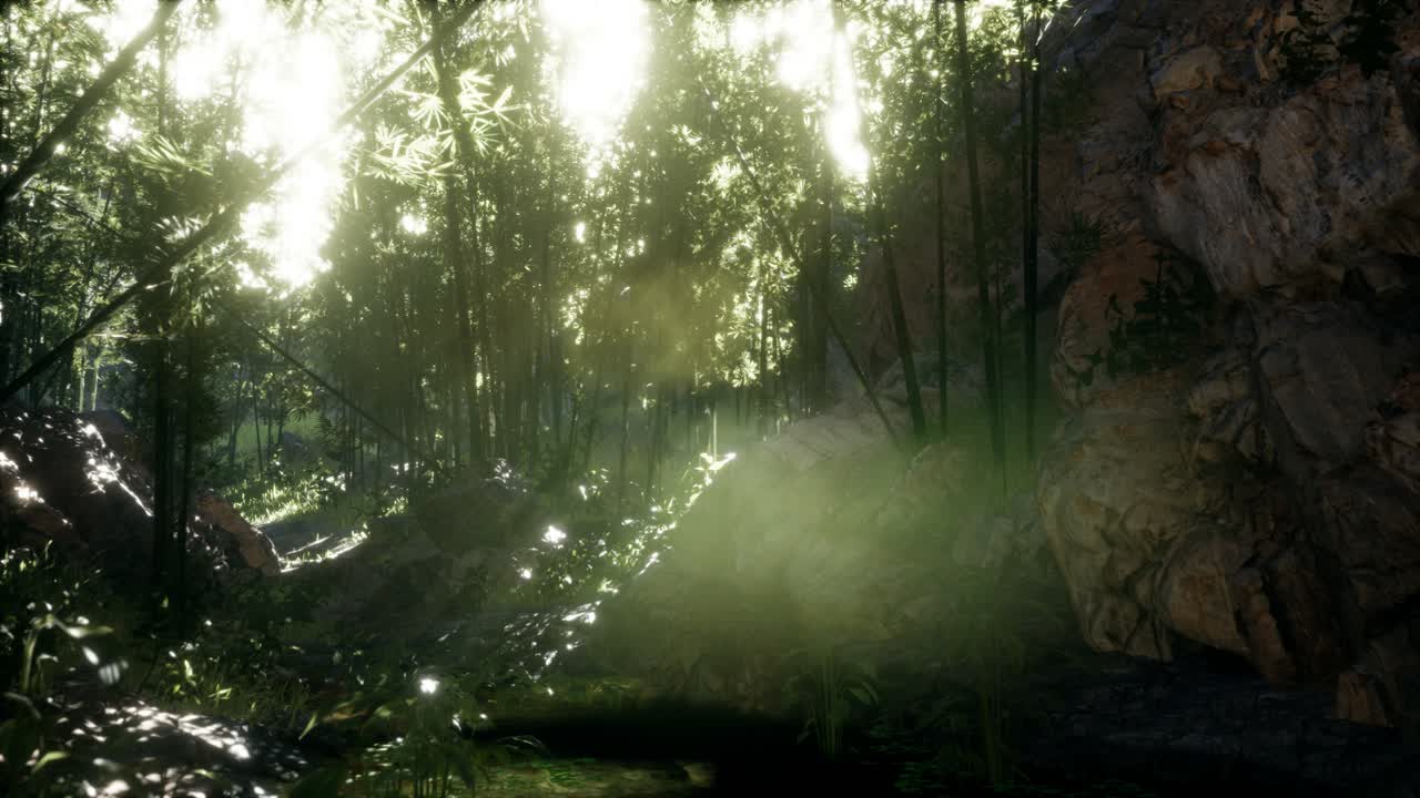 hojas verdes exuberantes de bambú cerca de la orilla de un estanque con piedras.