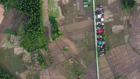 vertical of cultivated farmland at countryside village in saint bernard, southern leyte in the philippines