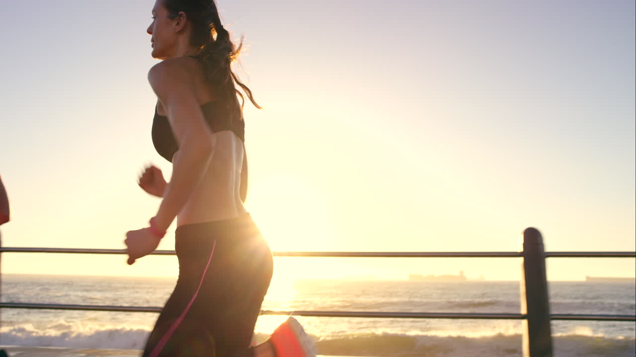 당신이 필요로 하는 것은 약간의 탄력입니다.