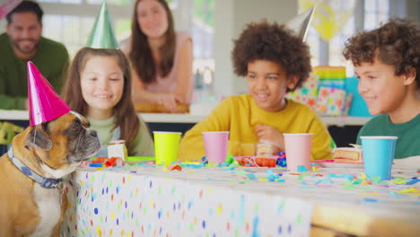 pet dog wearing party hat sitting at birthday party table with children and parents