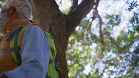 un anciano haciendo una caminata en el bosque.
