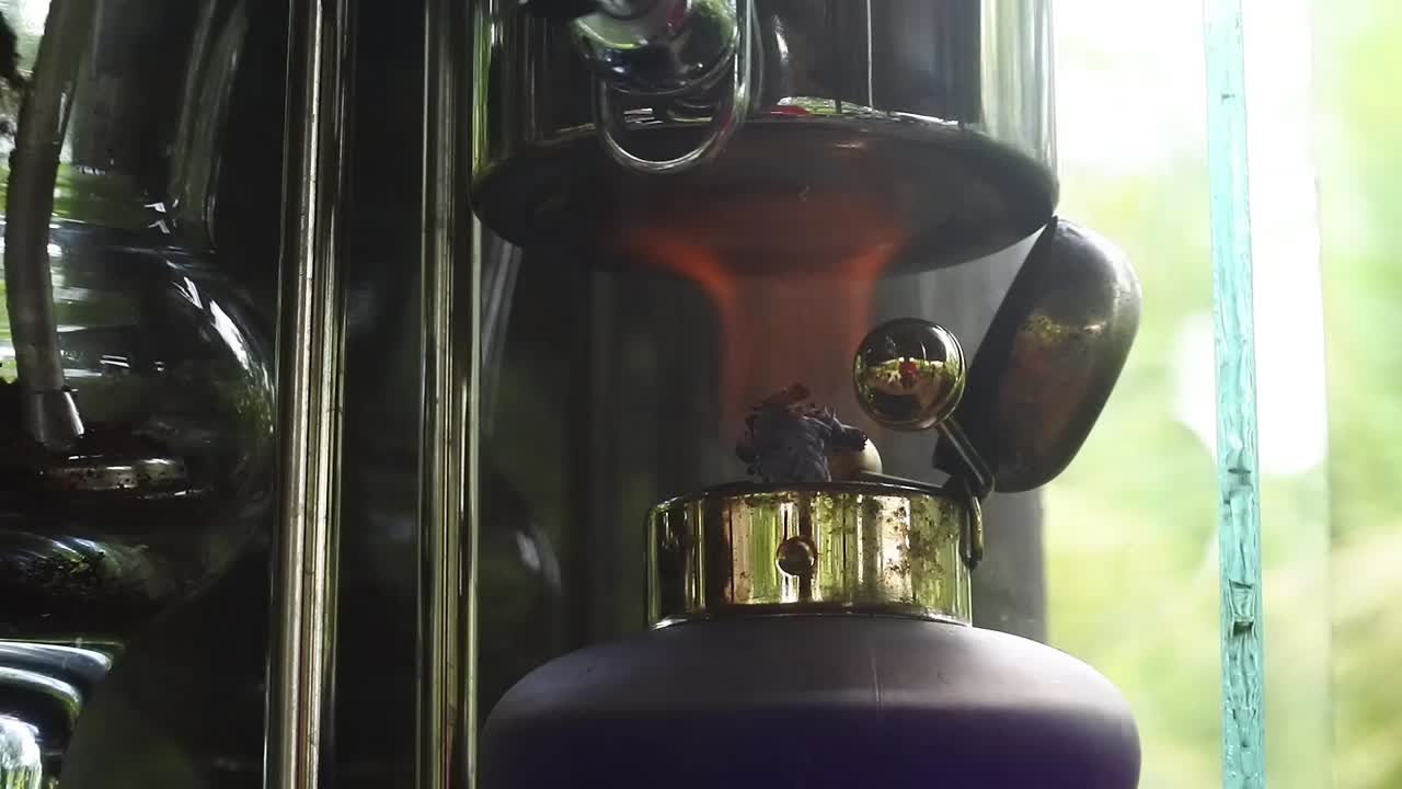 fotografía de cerca del proceso de hervir café de civeta en un horno de ebullición