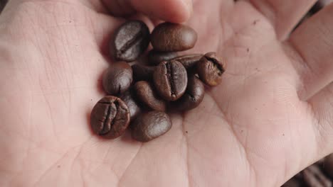 person holding on hand few roasted coffee beans