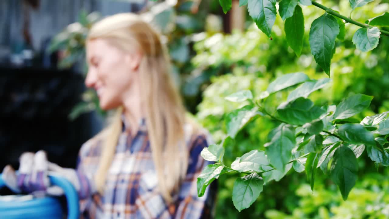 Female gardener watering plants with watering can