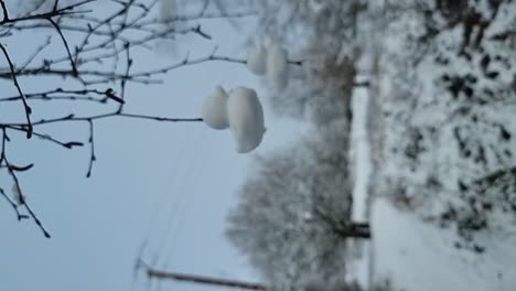 vertical shaped snow ducks ornament hanging from bare winter tree branches