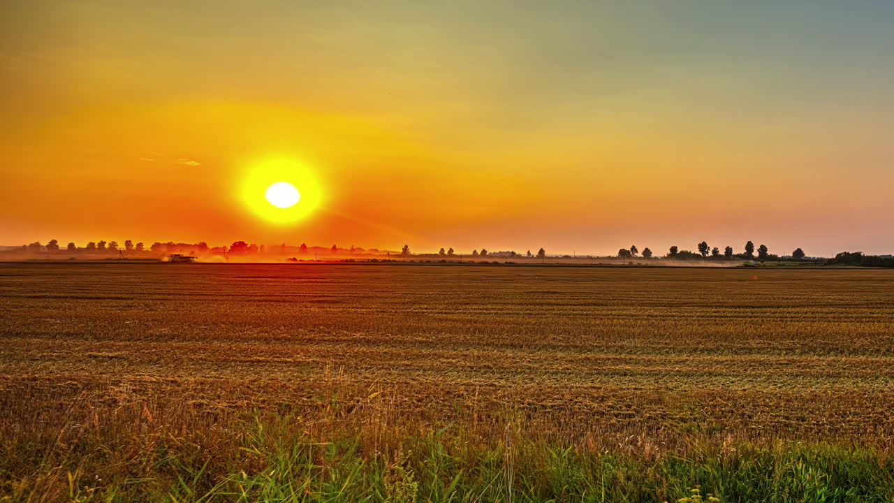 toma de lapso de tiempo de la cosecha de la cosechadora en la distancia con la puesta de sol en el fondo durante la noche