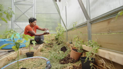 slider wide shot of an attractive indian woman planting in her greenhouse, sweden