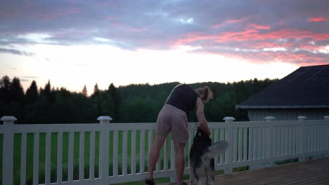 man enjoying the nature view with a dog pet during sunset