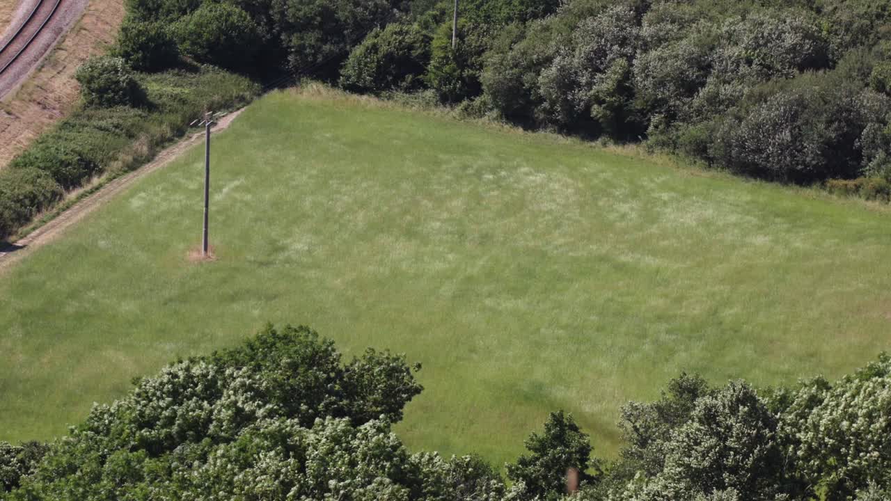 Wind blowing and making waves through grassy field on sunny day, wide shot