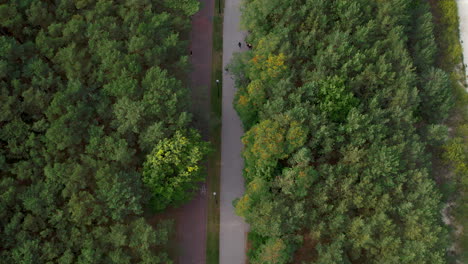 a bird's eye view of people walking on a boardwalk in lush greenery close to jelitkowo beach, gdansk, poland