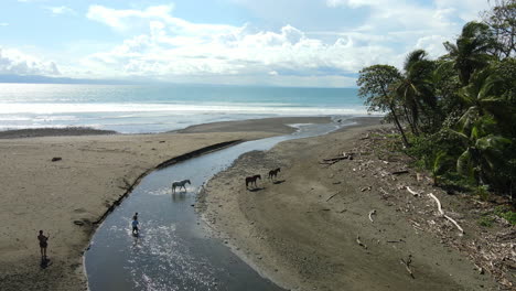 un momento sereno en el paisaje del río mientras los caballos se congregan en la orilla de guijarros.