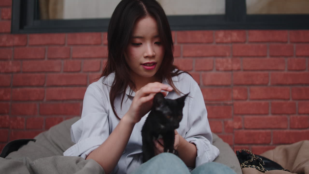 고양이를 가진 여자