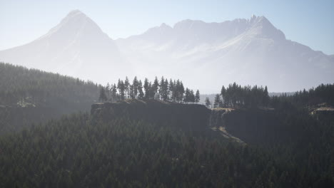 misty mountain forest landscape in the morning