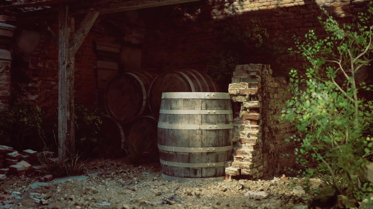 Botti di vino invecchiate adagiate tra mattoni incrinati e viti rampicanti.