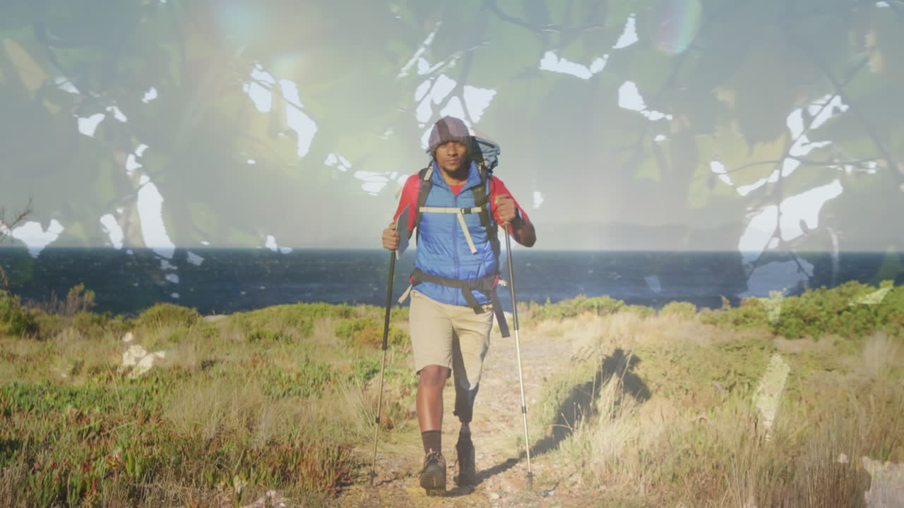 video compuesto de hojas verdes en un árbol contra un hombre afroamericano caminando por las montañas