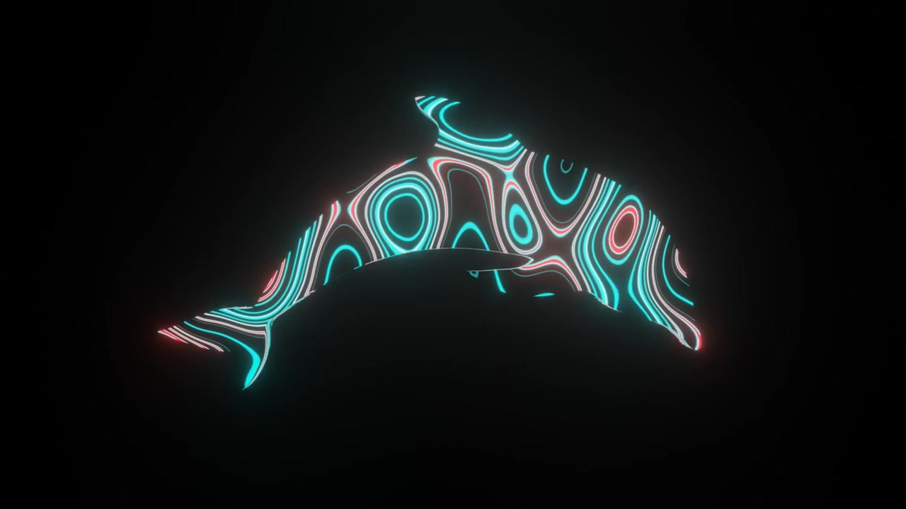 4k video animation of beautiful texture or pattern formation on the Dolphin body shape, isolated on black background. 3d rendering abstract loop animation neon lighting effect on Dolphin.