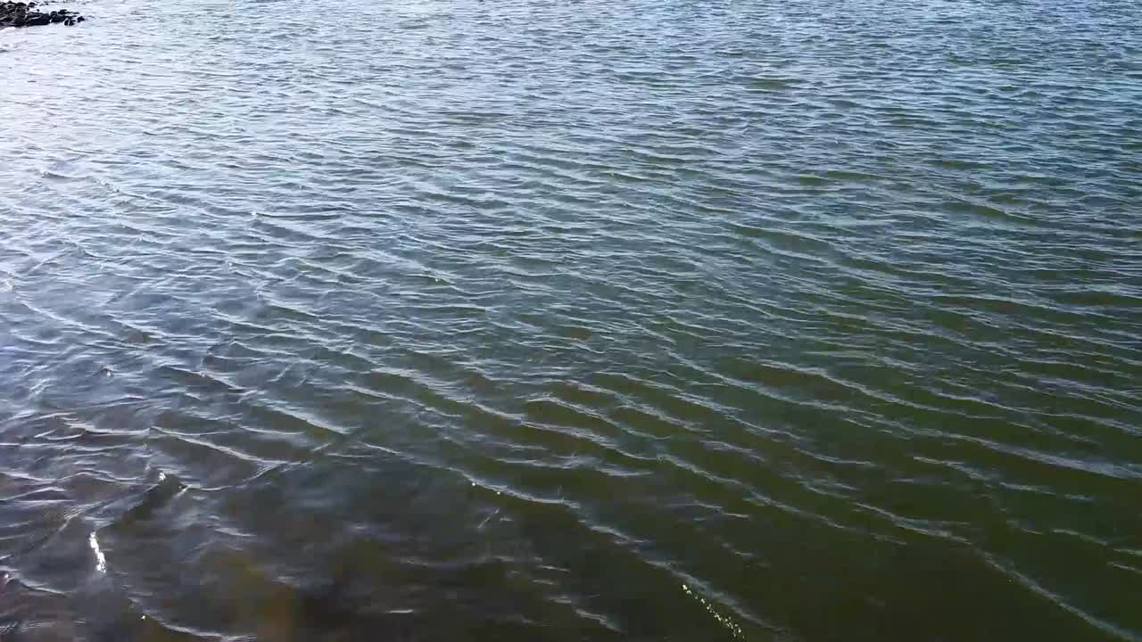 Primer plano de la orilla sur sobre el río Red Deer en Alberta, Canadá.