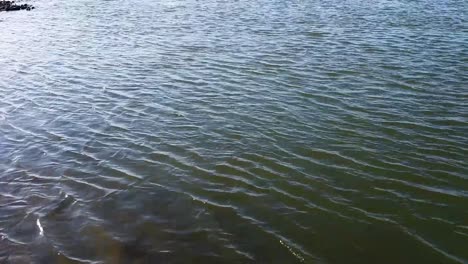 Close-up-of-the-southern-bank-above-the-Red-Deer-River-in-Alberta-Canada